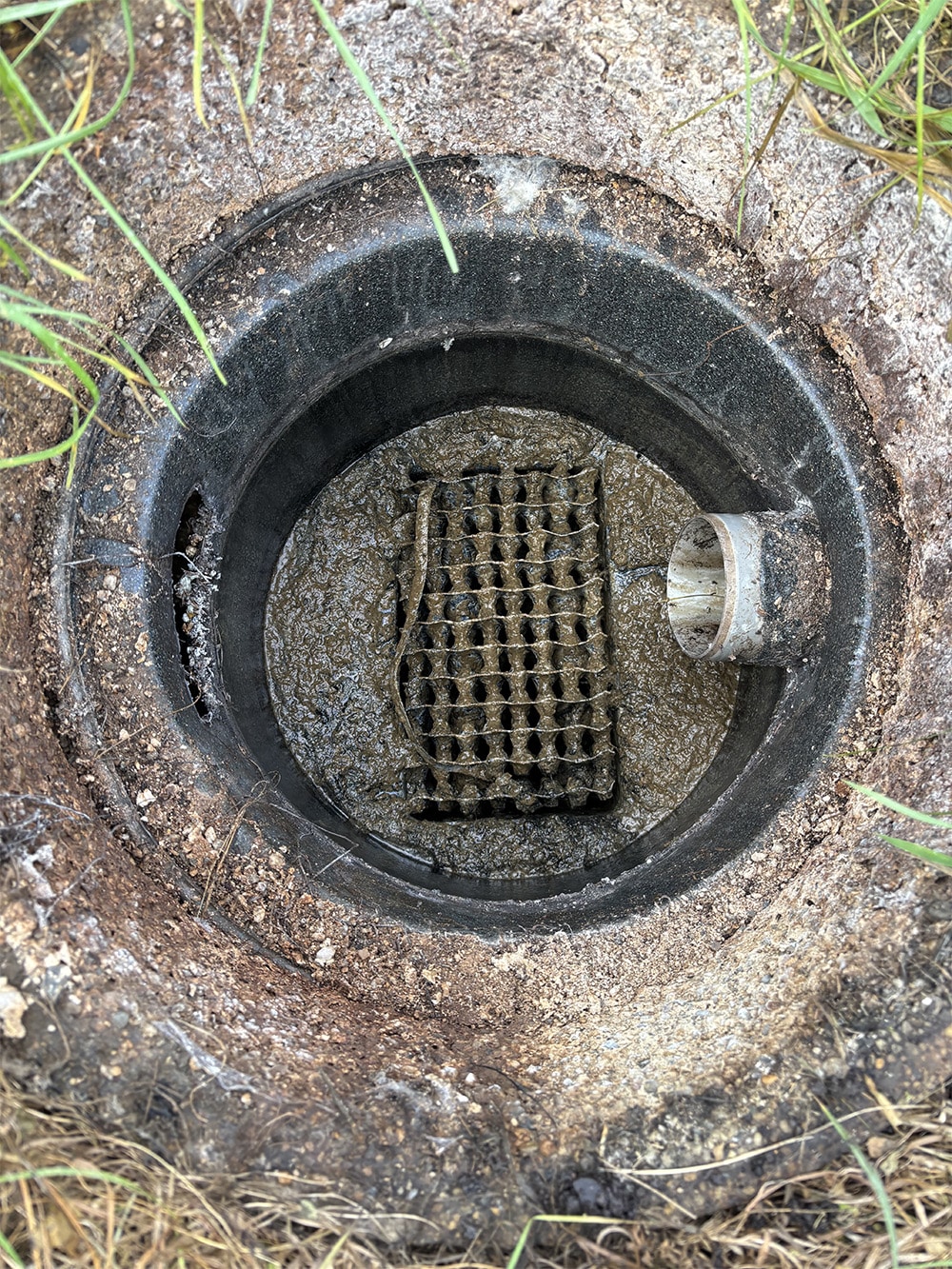 Fosse septique et filtre avant nettoyage | Vidange du Midi